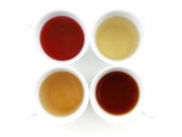 white/ green / black /rooibos tea