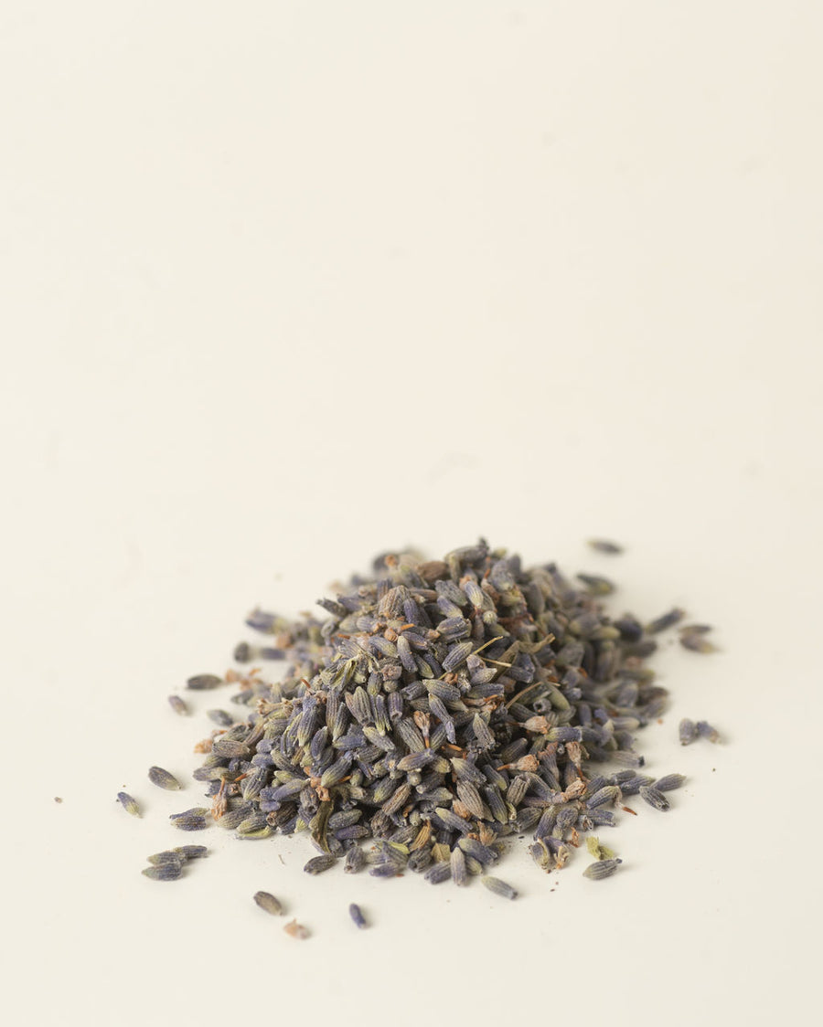 Lavender Flower - Herb