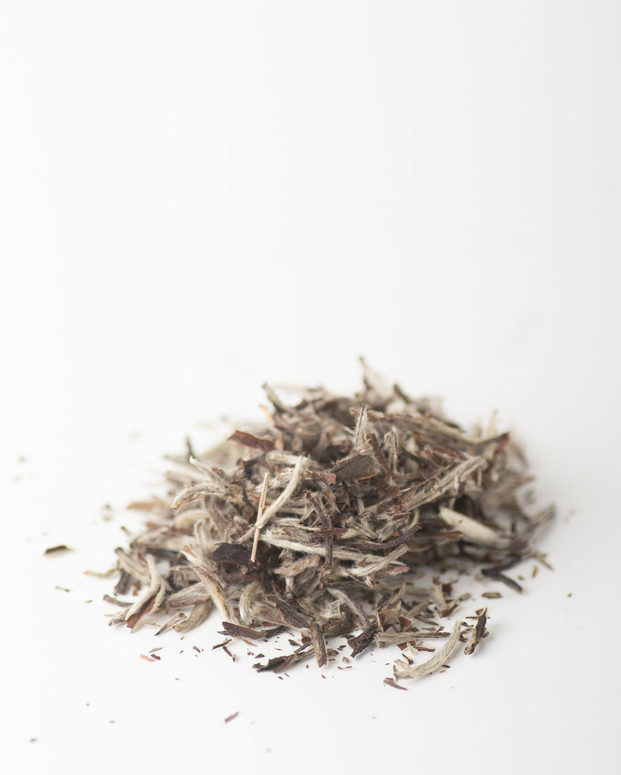 Silver Needle Yinzhen - White Tea