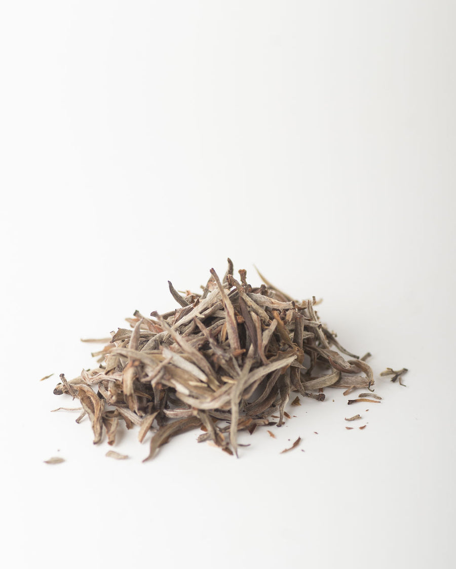 Silvery White Tea - White Tea