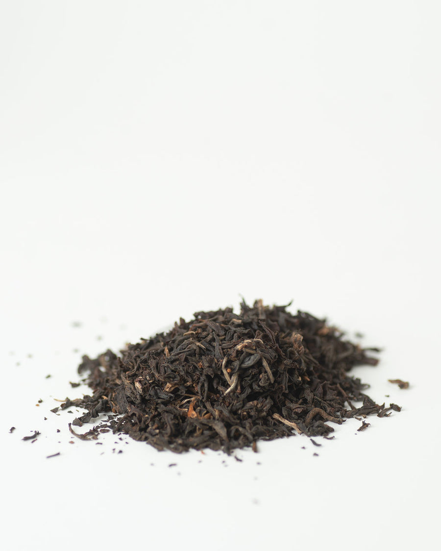 East Friesian Golden - Black Tea